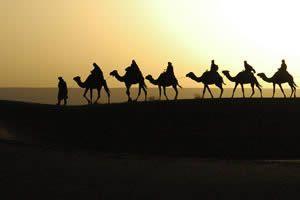Holy Land tour to Egypt, Jordan, Israel