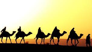 Holy Land tour to Egypt, Jordan, Israel Including Jerusalem